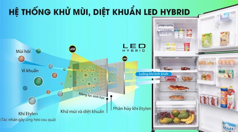 Tủ lạnh 2 cánh Inverter Toshiba GR-AG41VPDZ/XK1 - 359 Lít (Gương Đen)