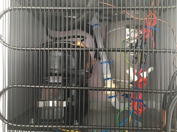 Cây nước nóng lạnh Kangaroo KG42A3