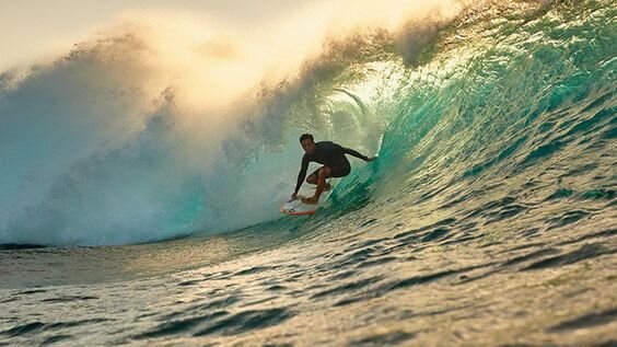 Chẳng ngại hết pin nhờ sạc năng lượng mặt trời 1