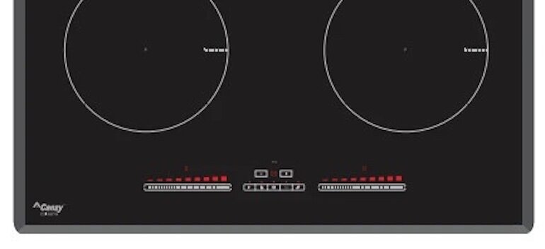 Bếp từ Canzy CZI-9979