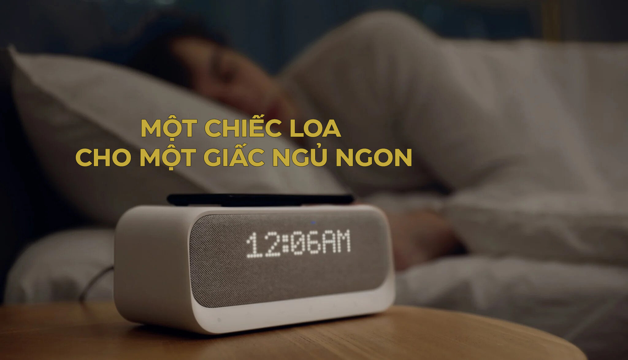 Loa không dây đa năng Anker Soundcore Wakey - A3300