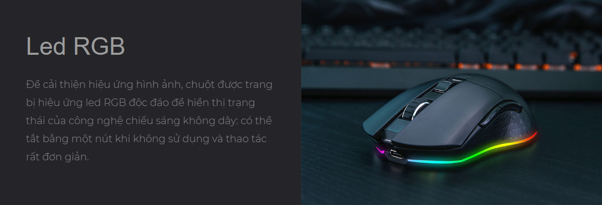 Chuột không dây Dareu EM901 RGB White 5