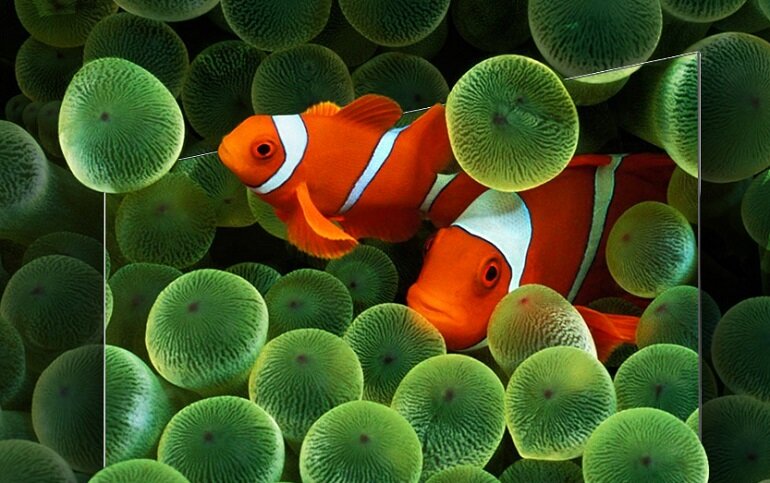 Smart Tivi Casper 4K 50 inch 50UGA610 hiển thị