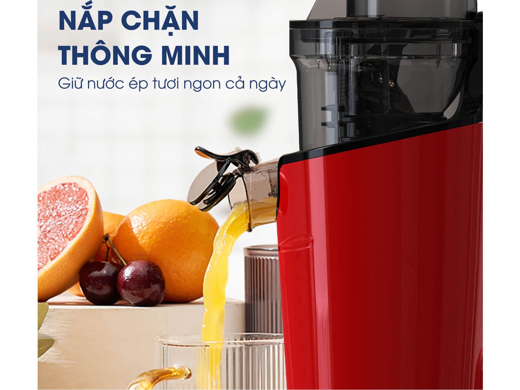 Máy ép trái cây Kalite 