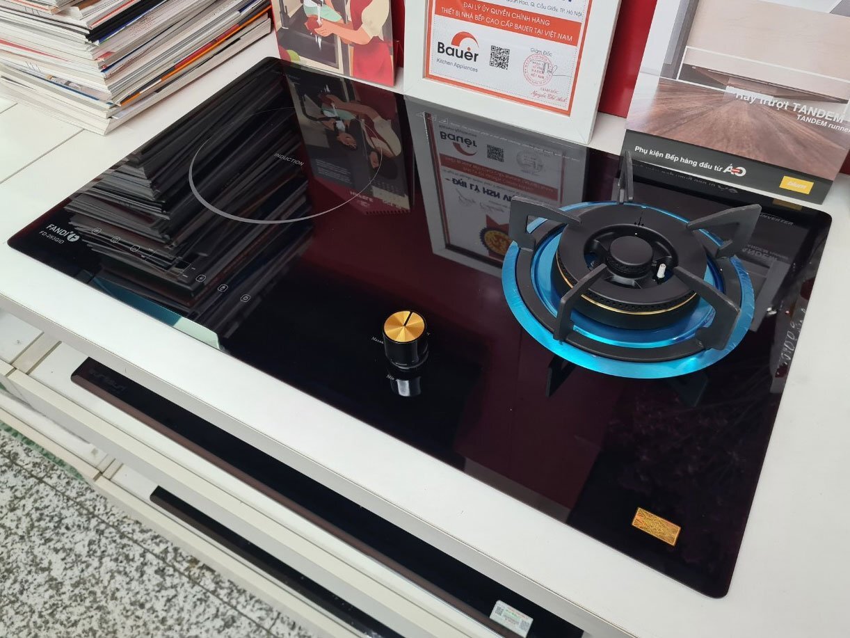 Bếp từ kết hợp bếp gas Fandi FD-293 GID