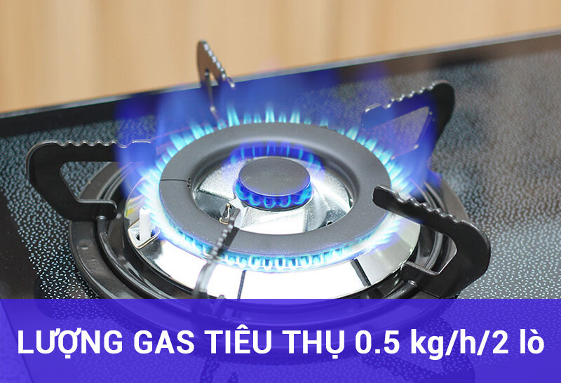Bếp gas âm Rinnai RVB-2BG(D)N Bếp gas âm Rinnai RVB-2BG(D)N