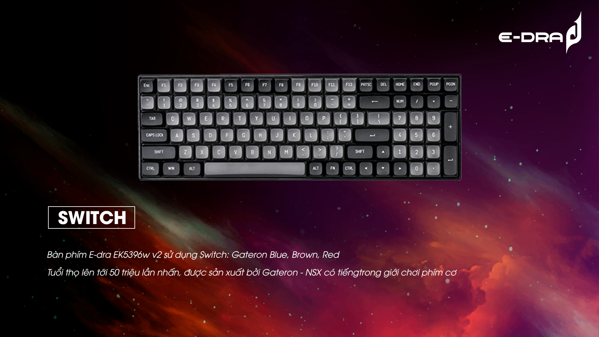 Bàn phím cơ không dây Edra EK396W V2 Blue sw (USBC/PBT/Bluetooth/3mode)