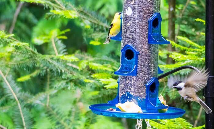 Ống Kính Olympus M.Zuiko Digital ED 75-300mm F4.8-6.7 II