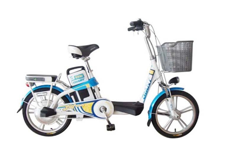 Xe đạp điện Giant 325R