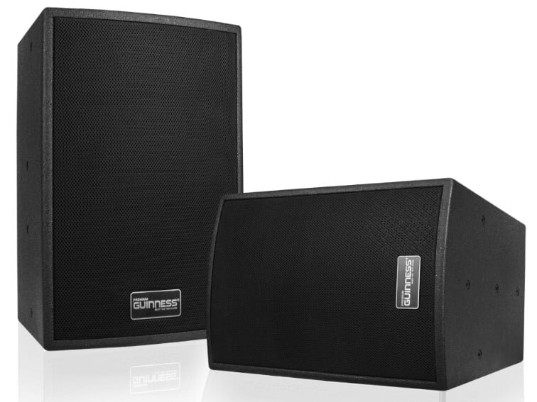 Loa Guinness GF 10+