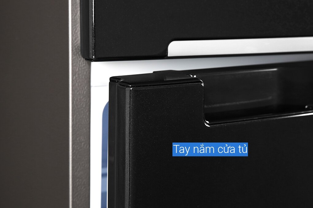 Tủ lạnh có khử mùi