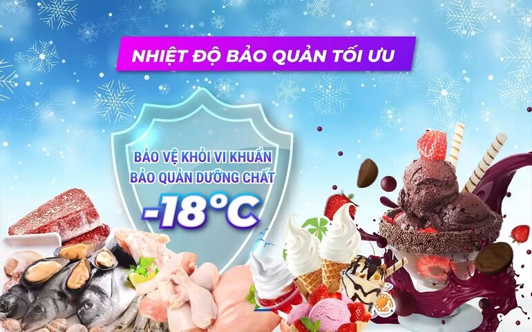 Tủ đông Sanaky 1 ngăn 750 lít VH-1008KA