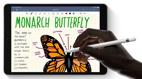 Apple Pencil iPad Air 3