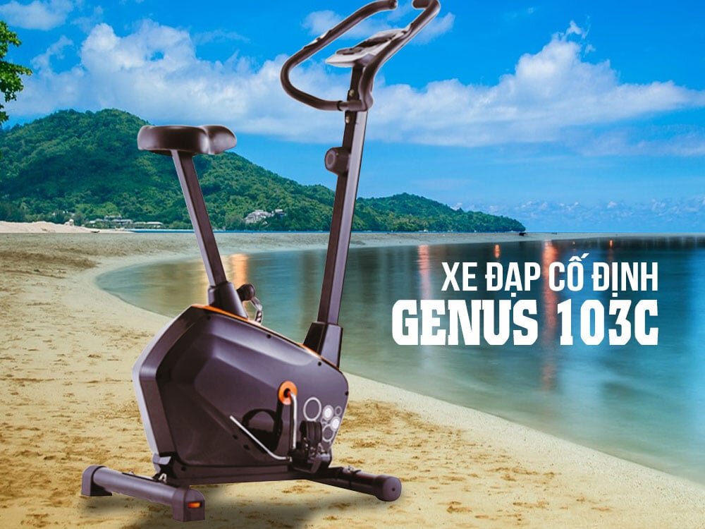 Xe đạp tập gia đình