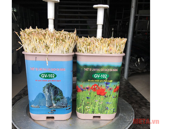 Máy làm giá đỗ sạch đa năng GV-102 - Tự động (new T4.2019)