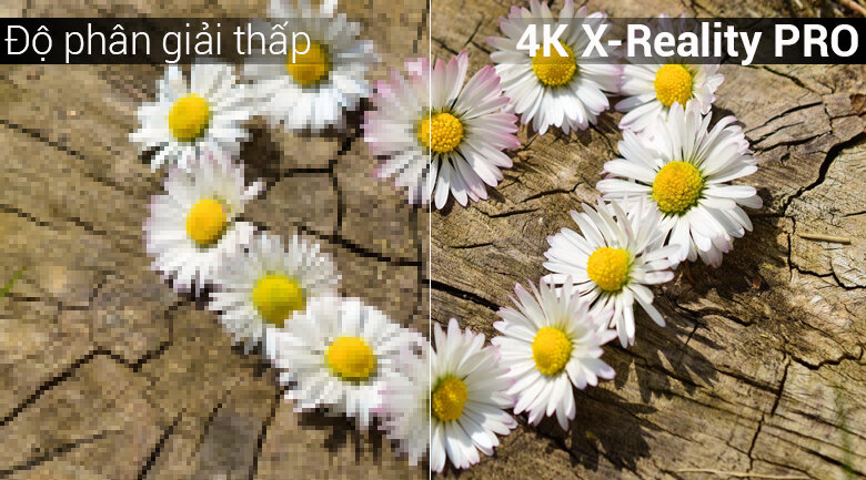 Smart Tivi Sony 55 inch 55X7500F, 4K HDR, Android Tivi