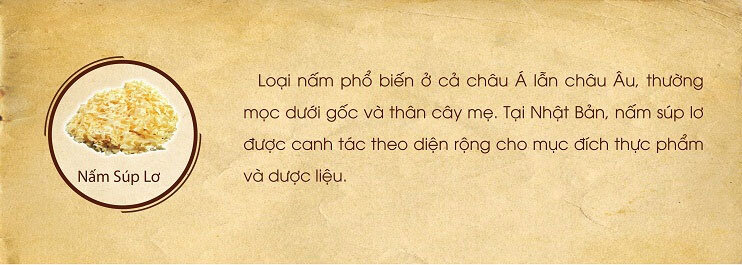 Thực phẩm chức năng bảo vệ sức khỏe Beta Glucan Ball 60g - Khắc tinh tế bào ung thư