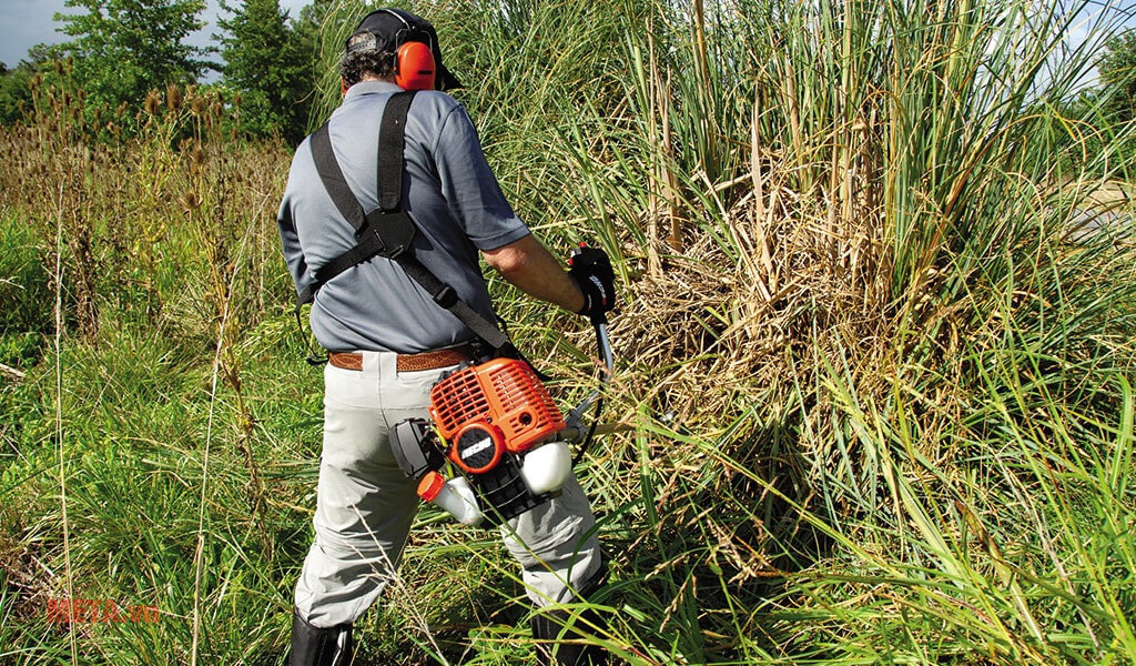 Máy cắt cỏ 2 thì Echo SRM4300R Máy cắt cỏ 2 thì Echo SRM4300R