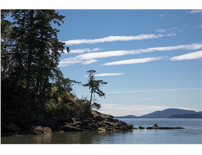 Ống Kính Sigma 24-70mm f/2.8 DG OS HSM Art cho Nikon