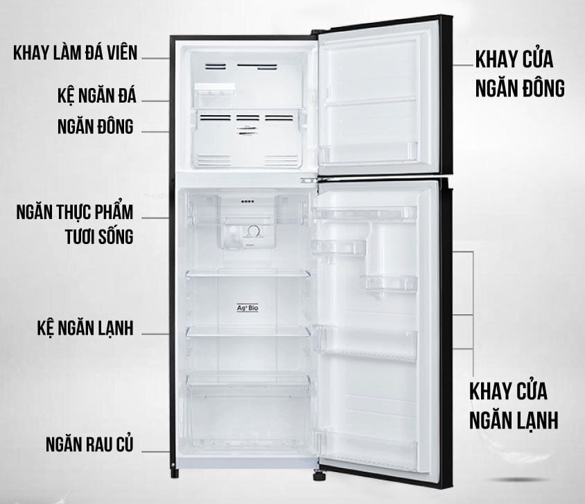 Tủ lạnh 2 cửa Inverter Coex RT-4004BS Tủ lạnh 2 cửa Inverter Coex RT-4004BS