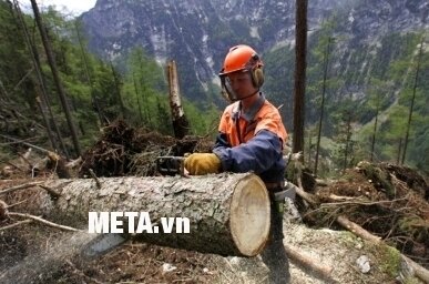 Máy cưa xích 1300W DCA AML02-405 (M1L-FF02-405)