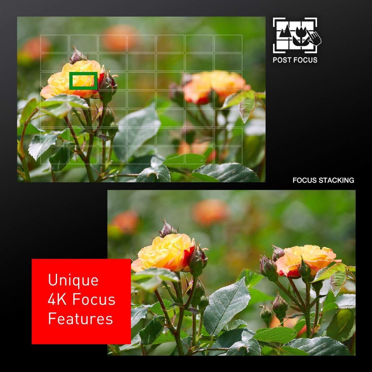 Máy Ảnh Panasonic Lumix LX100 II