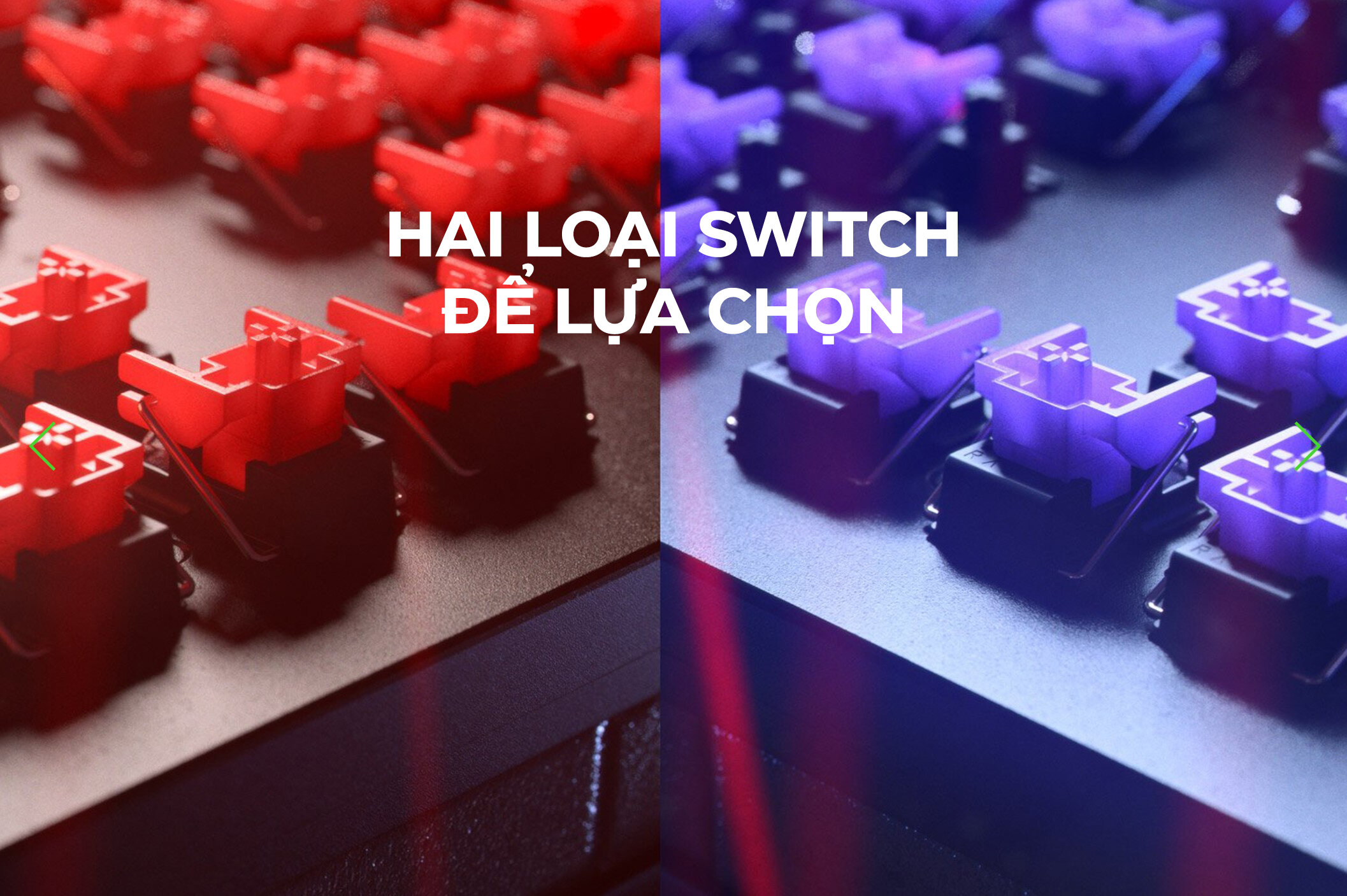 Bàn phím Razer Huntsman V2 Tenkeyless Optical Clicky Purple Sw (RZ03-03940300-R3M1) 