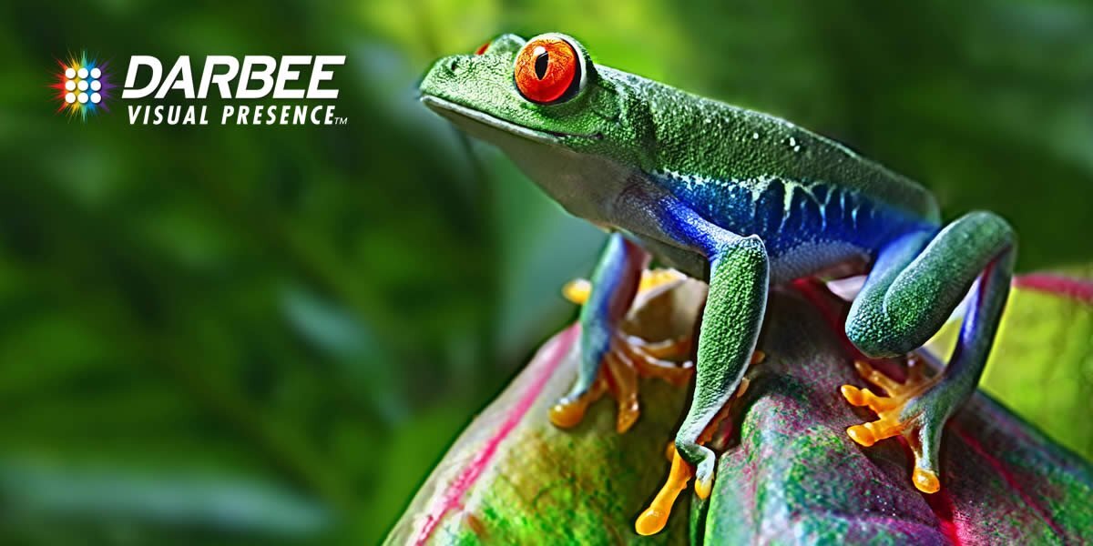 Máy chiếu Optoma HD29