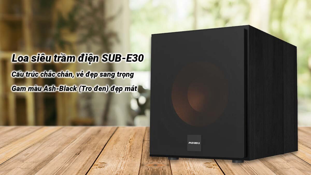 Loa siêu trầm Paramax Sub-E30 có vẻ ngoài 