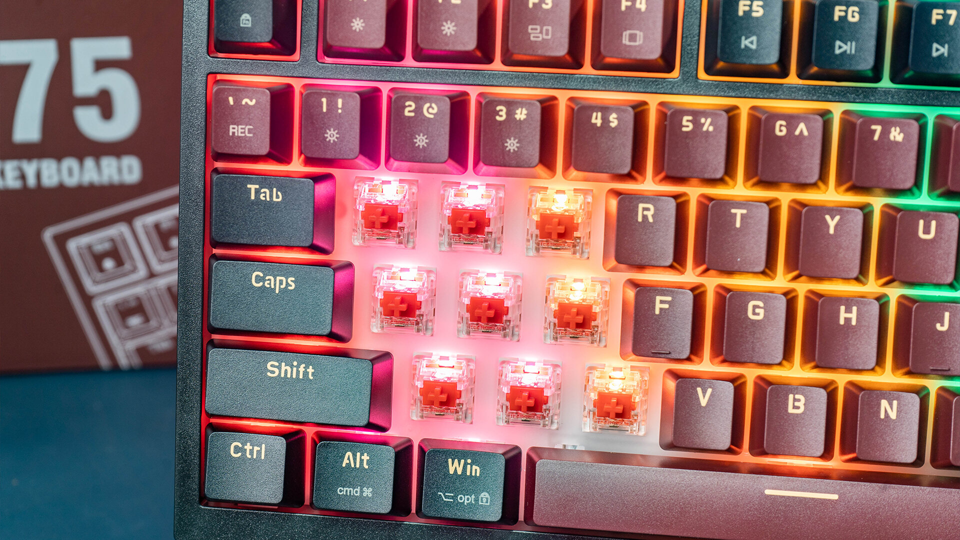 Bàn Phím Cơ Gaming Edra EK375 Beta 2