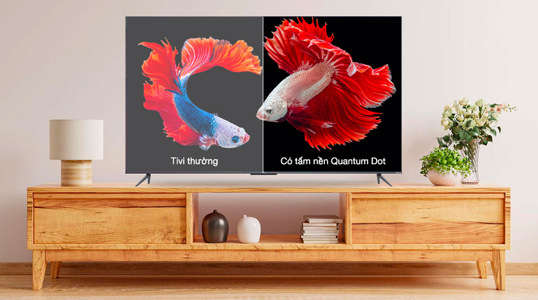 Google Tivi QLED TCL 4K 65 inch 65Q636 màn hình hiển thị