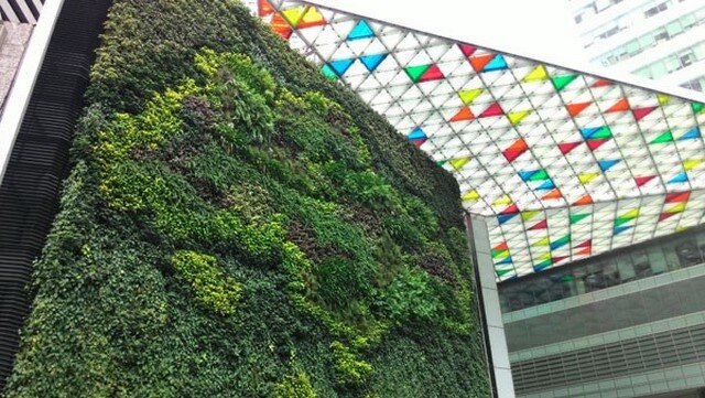 Điện thoại Asus Zenfone 5