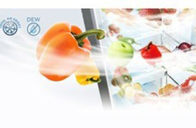 Tủ lạnh Mitsubishi Electric MR-F55EH-BRW-V - 460 Lít