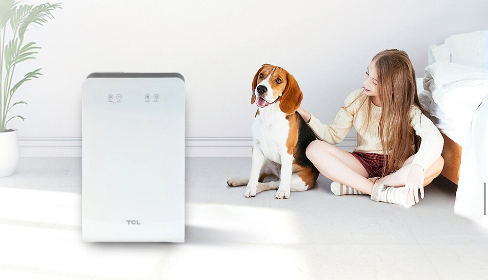 Vẻ đẹp tinh tế của máy lọc không khí TCL TKJ270F-A1