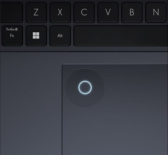 Asus Zenbook Pro  14X OLED UX6404VV-P4069W - Chuột cảm ứng