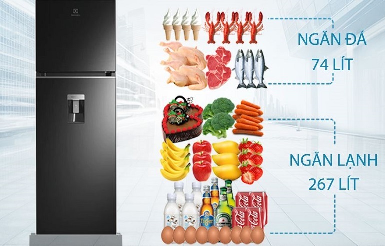 Dung tích tủ lạnh Electrolux ETB3760K-H phù hợp với gia đình 4-5 thành viên