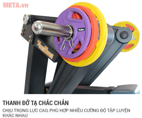 Máy tập lưng trong, lưng ngoài Tiger Sport Premium TGP-450