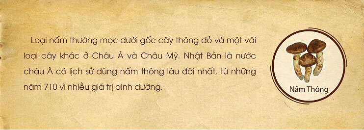 Thực phẩm chức năng bảo vệ sức khỏe Beta Glucan Ball 60g - Khắc tinh tế bào ung thư