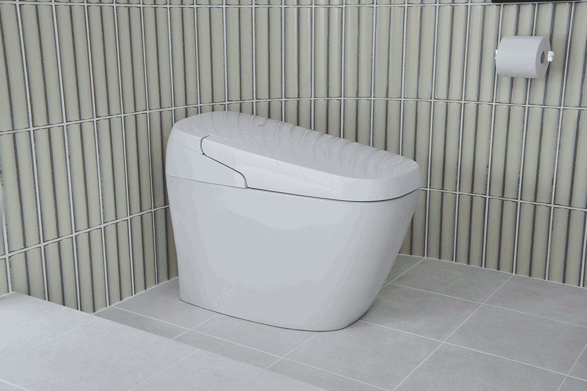 Bồn cầu điện tử INAX Satis G AC-G216VN trắng