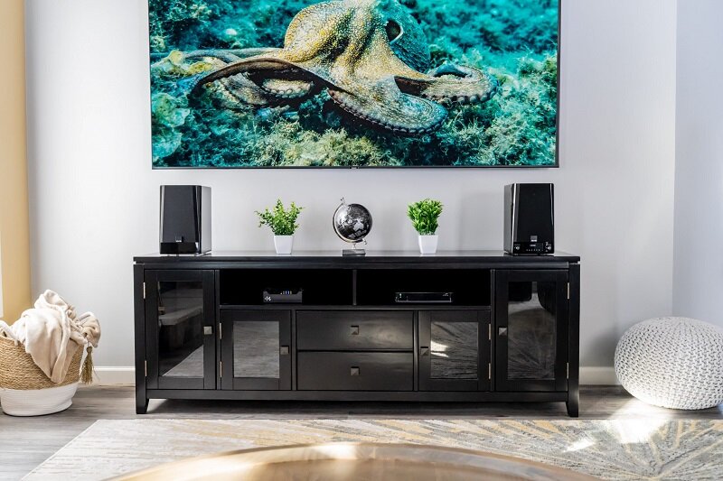 Loa SVS Ultra center