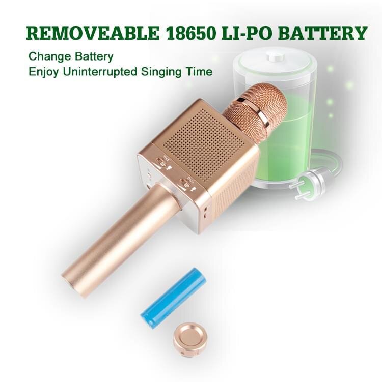 Mic Karaoke MICGEEK Q10S Mic Karaoke MICGEEK Q10S