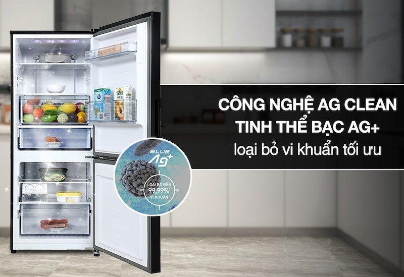 Tủ lạnh Panasonic Inverter 2 cánh 255 Lít NR-BV281BGMV Tủ lạnh Panasonic Inverter 2 cánh 255 Lít NR-BV281BGMV