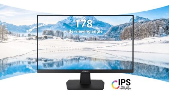 Màn hình Asus VA24EHE 24 inch (Ảnh 3)