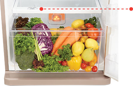 Tủ lạnh Mitsubishi Electric MR-FV32EJ-SL-V - 274 Lít