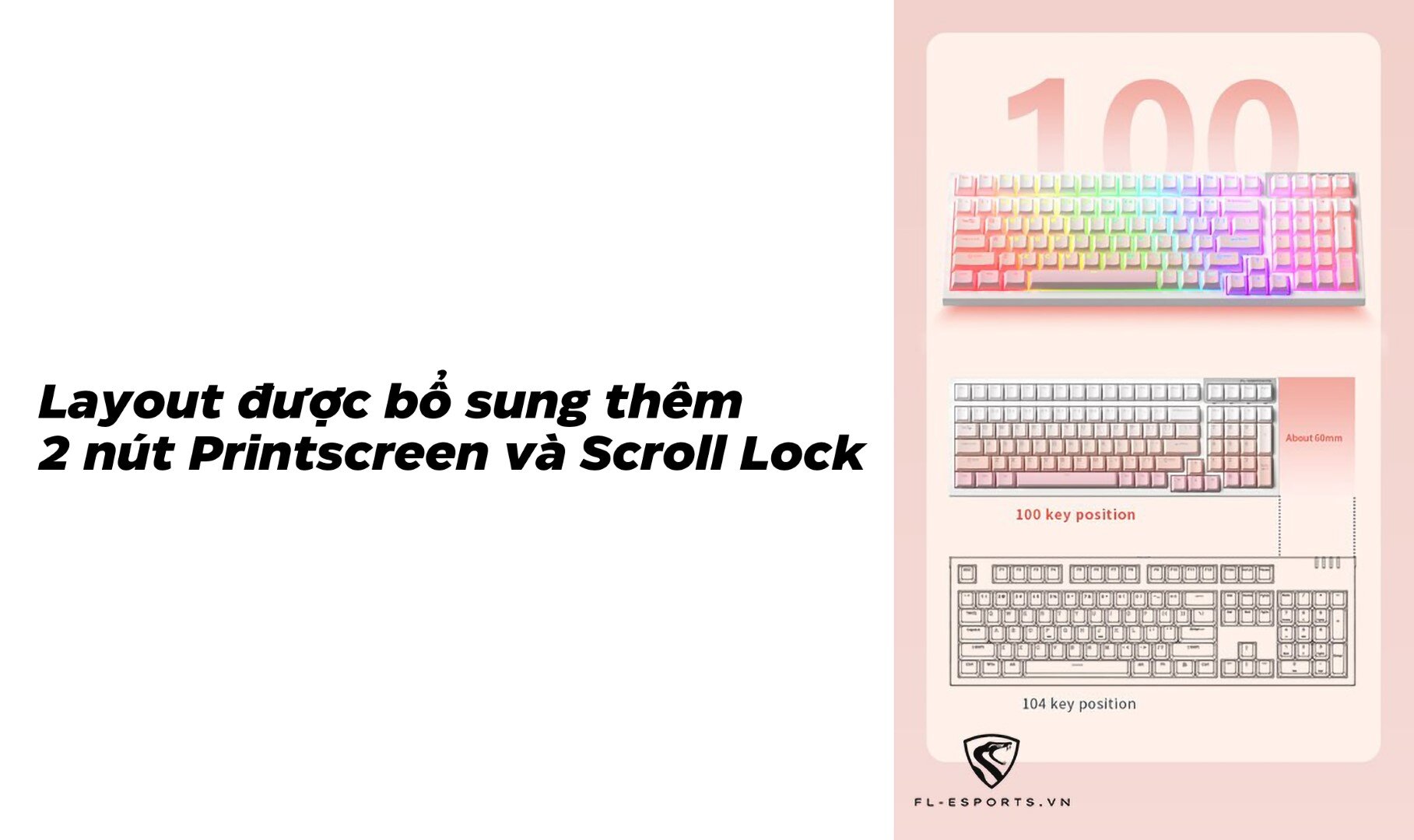 Bàn phím cơ FL-Esports FL100CPM White Body-Gradient Pink Ice Pink switch (FLCMMK)