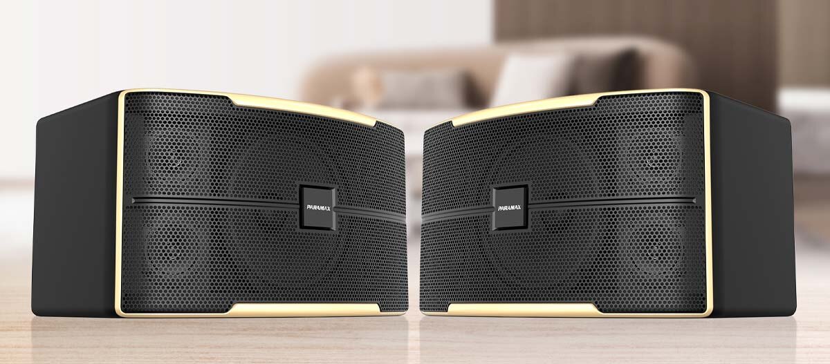 Loa karaoke 10 Inches Paramax Z-1500 có ngoại hình cứng cáp, hiện đại