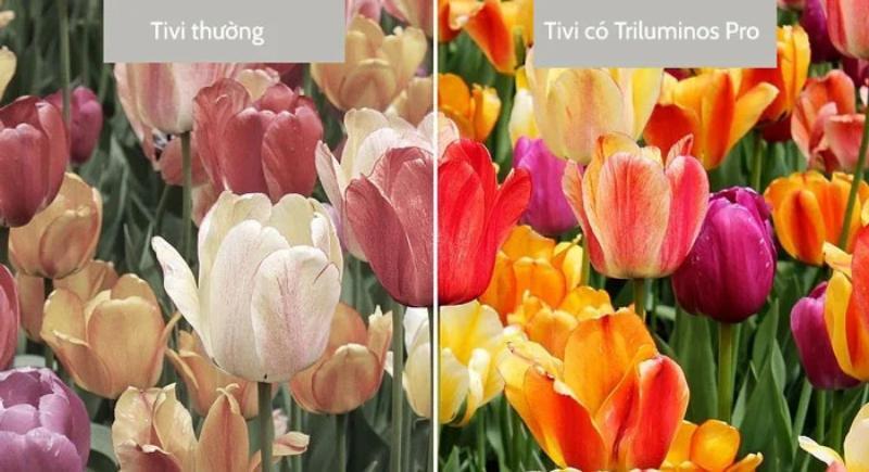 Google tivi Sony 4K 50 inch K-50S30