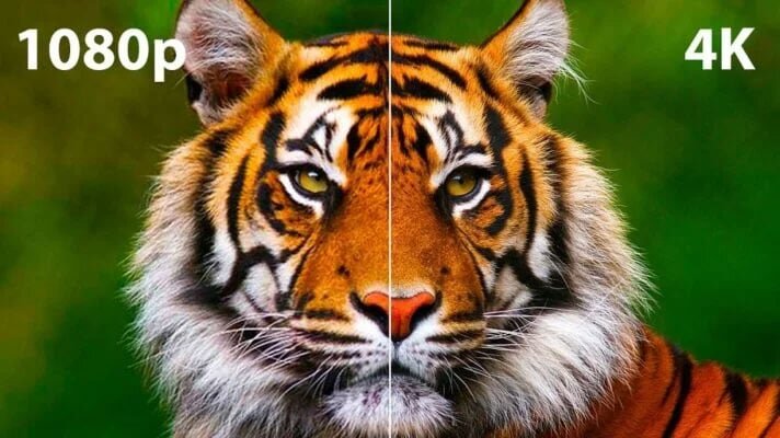 Hình ảnh rõ nét nhờ độ phân giải 4K