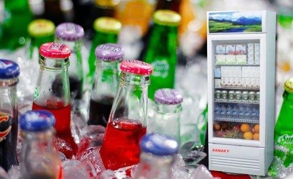 Tủ mát Sanaky 308L VH - 308K