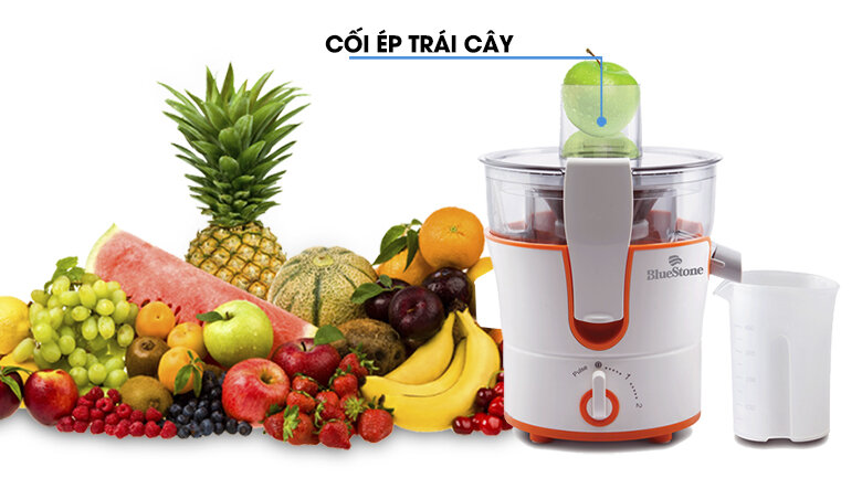 Máy ép trái cây Bluestone JEB-6519